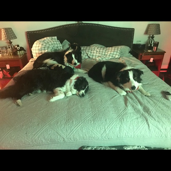 Meet your Posher, Janice - Picture 2 of 8